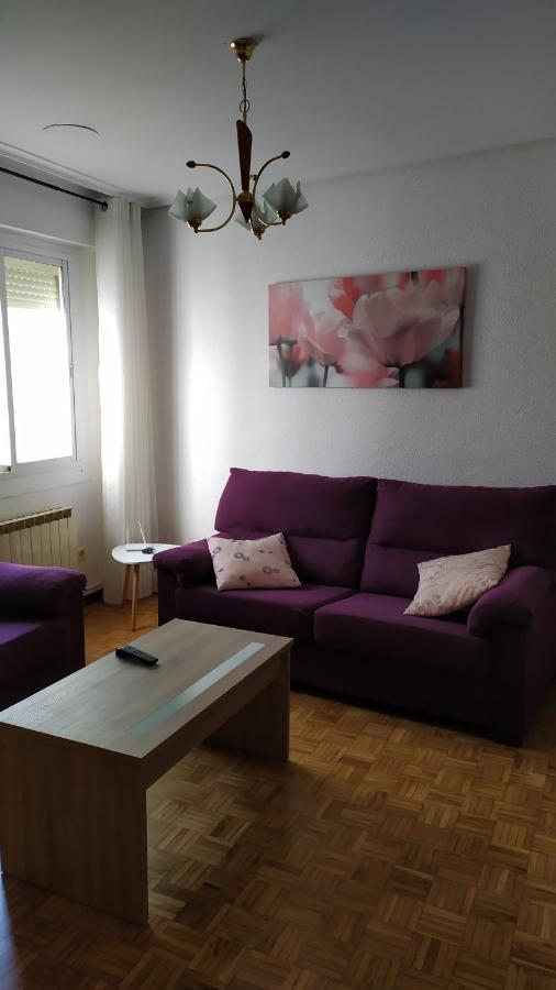 Calle Lardero Apartamento ログローニョ エクステリア 写真